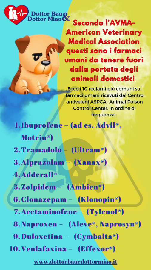 I comuni farmaci umani da tenere fuori dalla portata dei nostri animali domestici. FARE MOLTA ATTENZIONE!!!