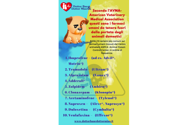 I comuni farmaci umani da tenere fuori dalla portata dei nostri animali domestici. FARE MOLTA ATTENZIONE!!!