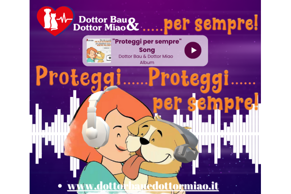 🎵🐾 La Musica e i nostri Amici a Quattro Zampe! 🐾🎵