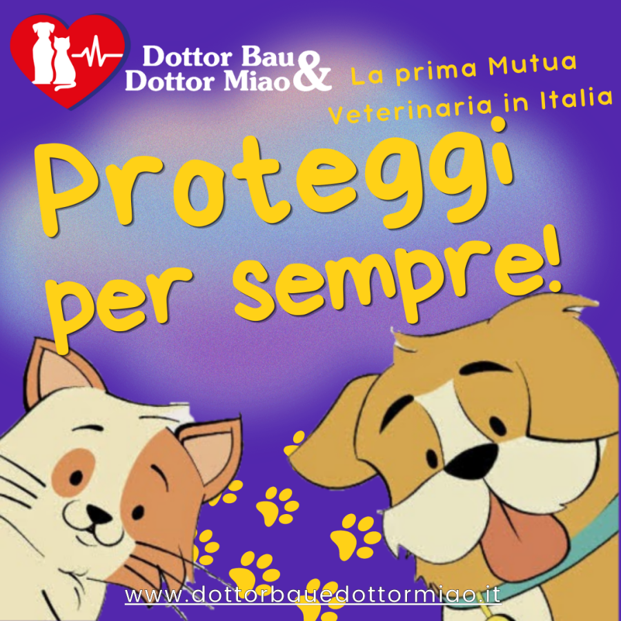 🐾 Conosci le incredibili garanzie per tutta la vita che Dottor Bau & Dottor Miao offre per il tuo animale domestico?