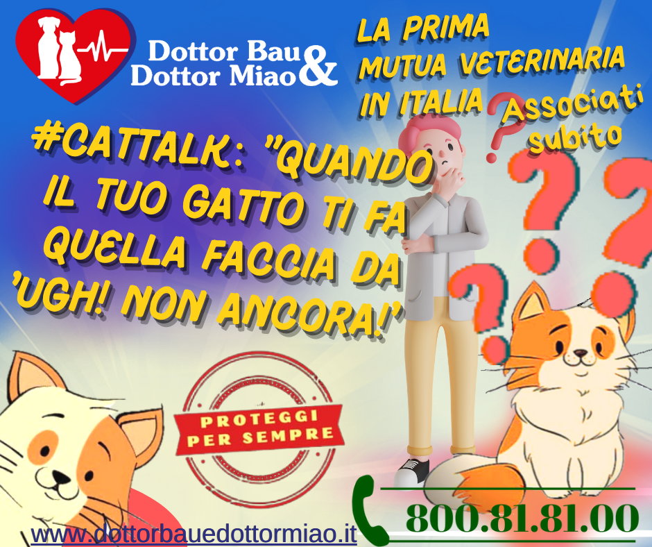 **#CatTalk:** 🐾 *Dottor Miao presenta 