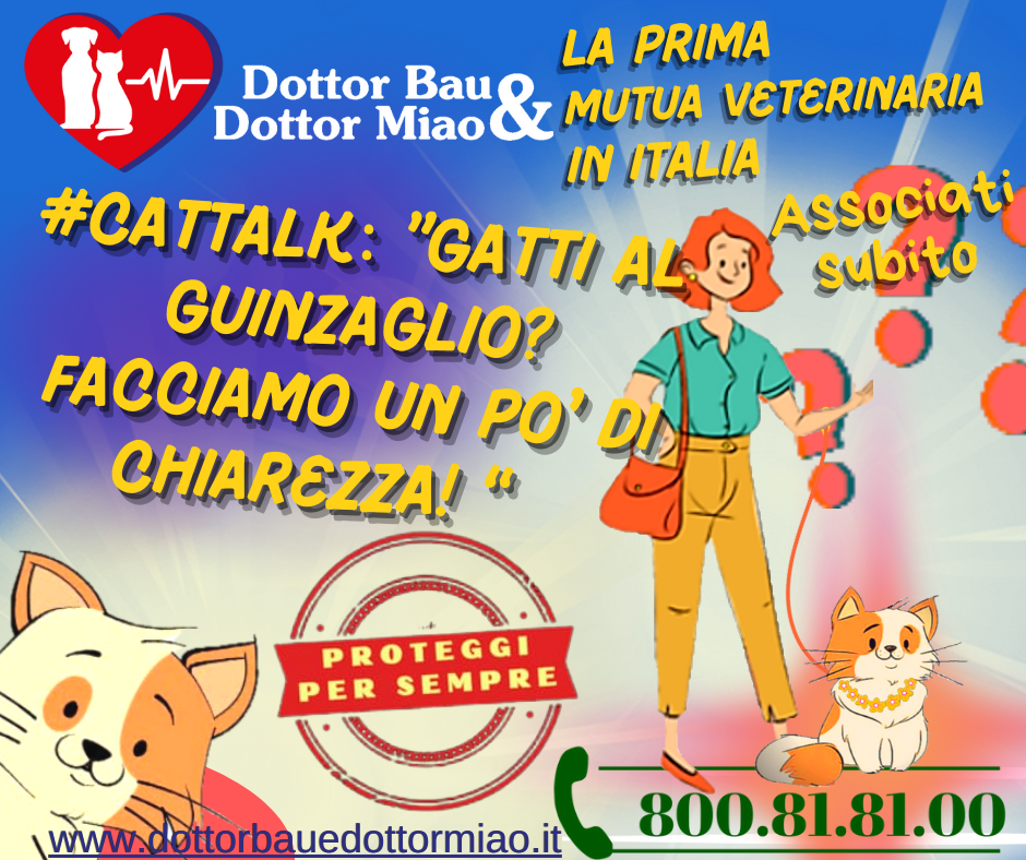 **#TalkCat**: Gatti al guinzaglio? Facciamo un po' di chiarezza!