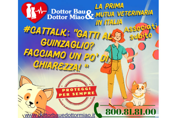 **#TalkCat**: Gatti al guinzaglio? Facciamo un po' di chiarezza!
