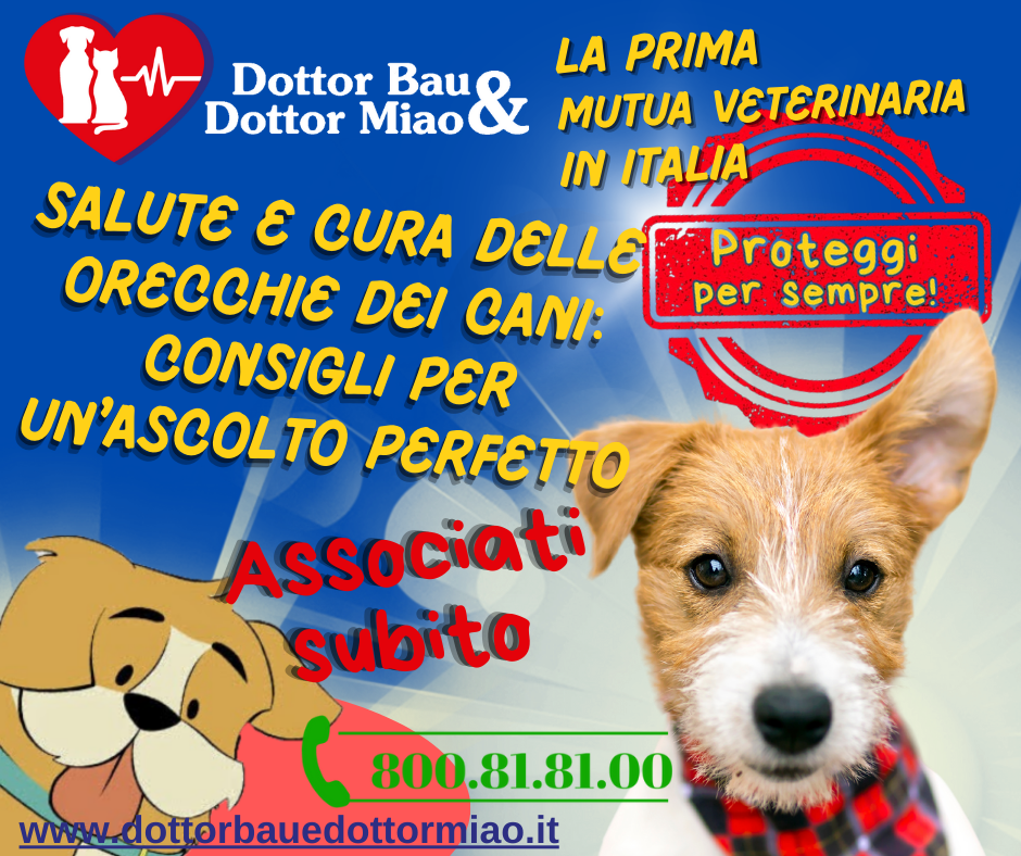 Salute e Cura delle Orecchie dei Cani: Consigli per un'Ascolto Perfetto