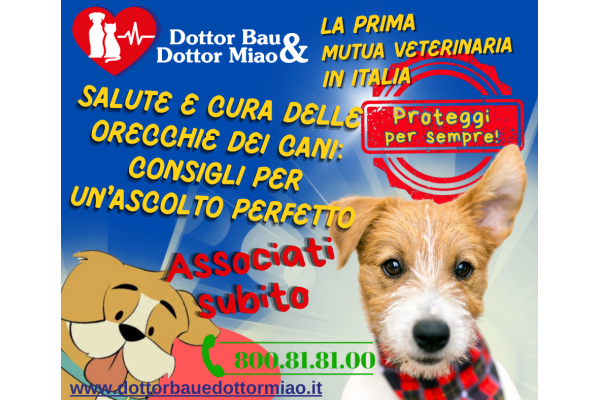 Salute e Cura delle Orecchie dei Cani: Consigli per un'Ascolto Perfetto