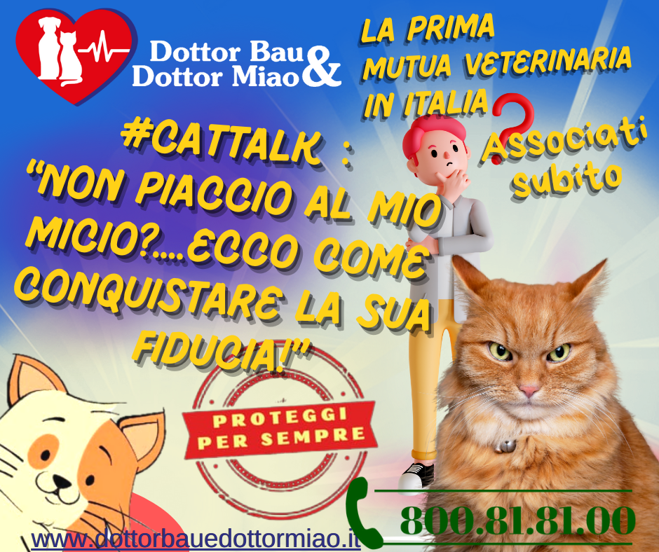 #CatTalk: 🐾Non piaccio al mio micio? Ecco come conquistare la sua fiducia!