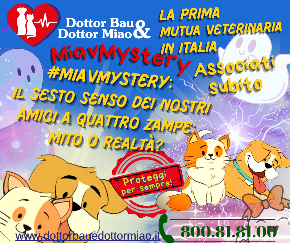 #MiavMistery 🌙🔮  Il Sesto Senso dei nostri amici a quattro zampe: mito o realtà?