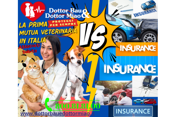 Mutua Italiana Assistenza Veterinaria-MIAV Vs Assicurazioni  MIAV: una Garanzia 🛡️ che Dura Tutta la Vita 🌟