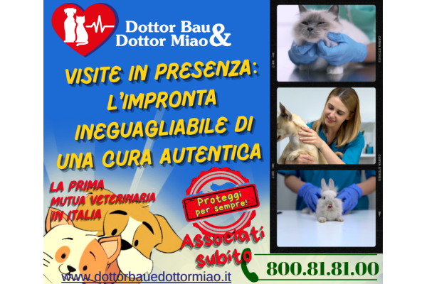 Visite in Presenza: L'Impronta Ineguagliabile di una Cura Autentica