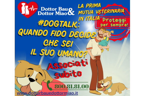 Quando Fido decide che sei IL SUO umano? 🐾✨