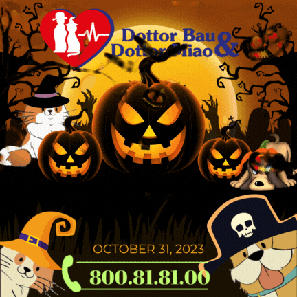 Buon.....Halloweennnn......