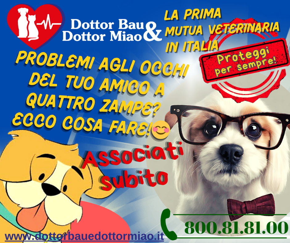 Problemi agli occhi del tuo amico a quattro zampe? Ecco cosa fare! 😊🐾