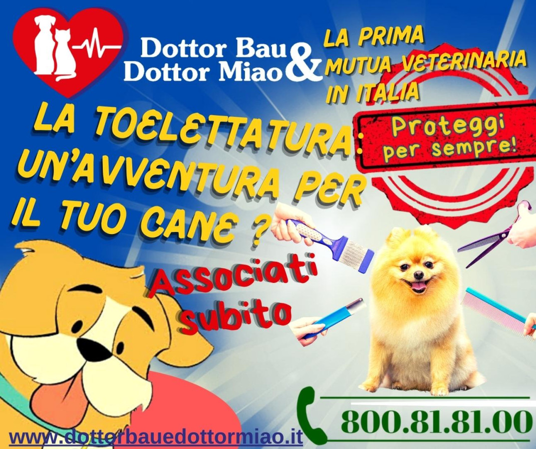 🐕‍🦺🚿 La Toelettatura: un'avventura per il tuo Cane?