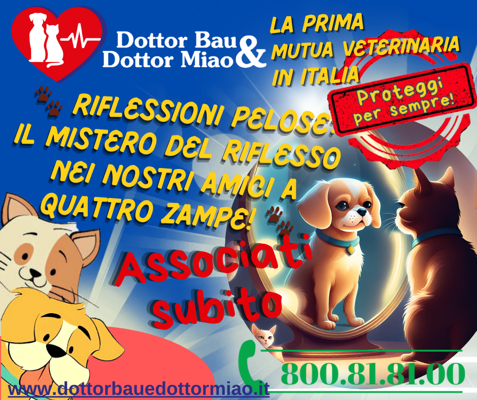 🐾 Riflessioni Pelose: Il Mistero del Riflesso nei Nostri Amici a Quattro Zampe! 🐾