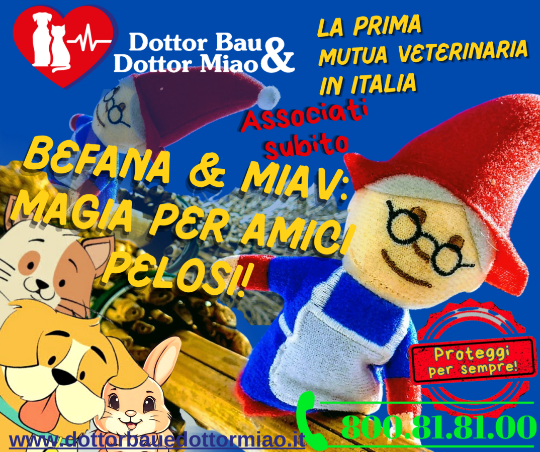 Befana & MIAV: Magia per Amici Pelosi!