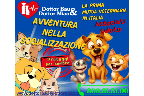 🐾 Avventura nella Socializzazione con Dottor Bau & Dottor Miao 🌟