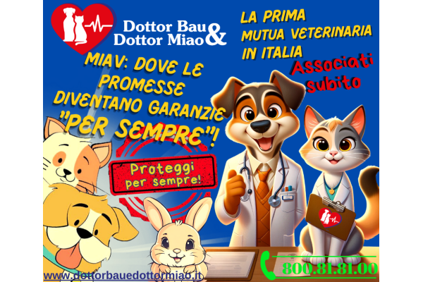 💚MIAV: Dove le Promesse Diventano Garanzie  