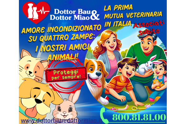🐾💖 Amore Incondizionato su Quattro Zampe:  I Nostri Amici Animali! 🐾💖