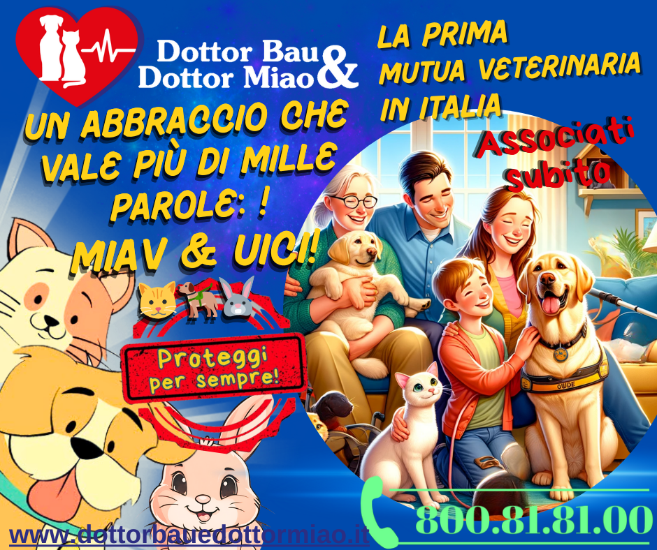 🐾🤗 Un Abbraccio che Vale più di Mille Parole: MIAV & UICI! 🐱🦮🐰