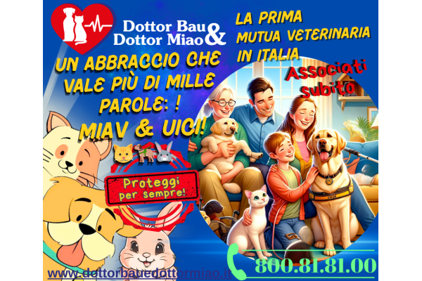 🐾🤗 Un Abbraccio che Vale più di Mille Parole: MIAV & UICI! 🐱🦮🐰
