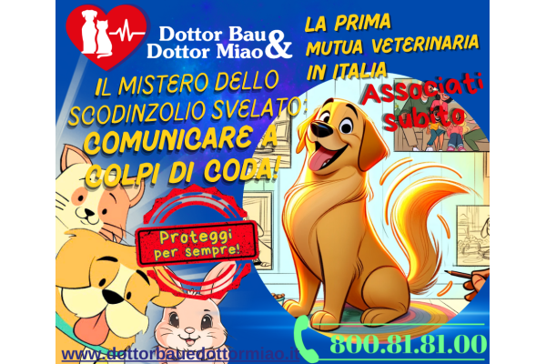 🐶🌀 Il Mistero dello Scodinzolio Svelato: Comunicare a Colpi di Coda! 🧐