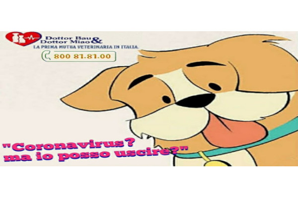 L’ITALIA E' TUTTA  ZONA ROSSA  Il CANE A SPASSO  SI PUÒ PORTARE E COME COMPORTARSI ?