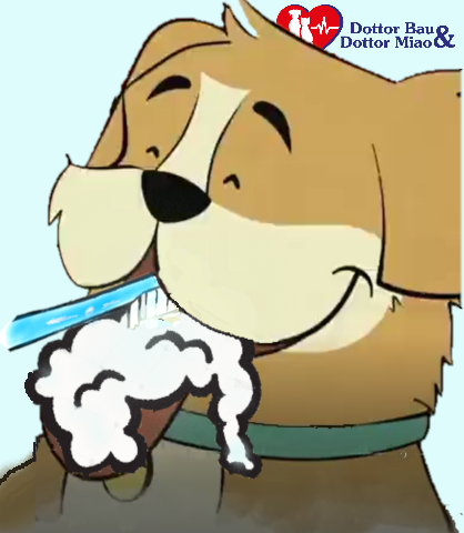 Ma tu lavi i denti al tuo cane? Ecco un po’ di consigli e alcune semplici ricette su come fare un ottimo dentifricio per lui.