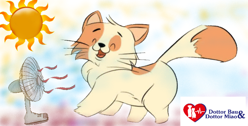 Aiutiamo il gatto a sopportare la canicola estiva con alcuni consigli utili.