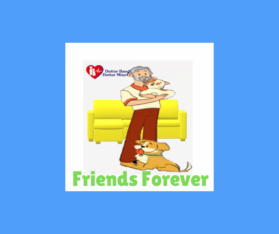 I cani e i gatti portano solo benefici per gli anziani