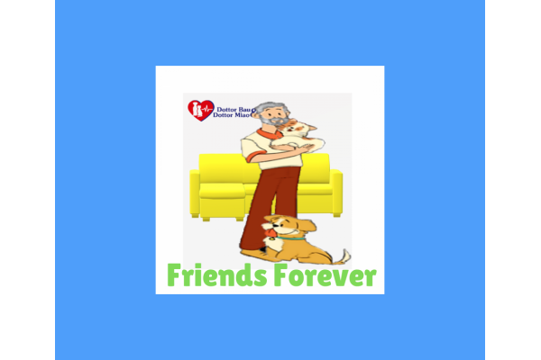 I cani e i gatti portano solo benefici per gli anziani