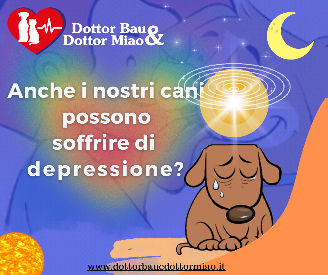 Cane depresso:  I segnali da cogliere