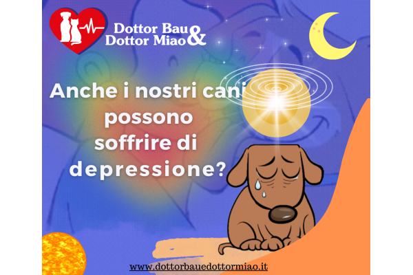 Cane depresso:  I segnali da cogliere