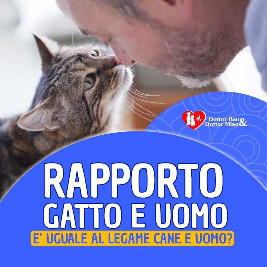 𝘙𝘈𝘗𝘗𝘖𝘙𝘛𝘖 𝘎𝘈𝘛𝘛𝘖 𝘌 𝘜𝘖𝘔𝘖 🐱👨🏻⁣⁣ 𝘌' 𝘶𝘨𝘶𝘢𝘭𝘦 𝘢𝘭 𝘭𝘦𝘨𝘢𝘮𝘦 𝘤𝘢𝘯𝘦 𝘦 𝘶𝘰𝘮𝘰?⁣⁣