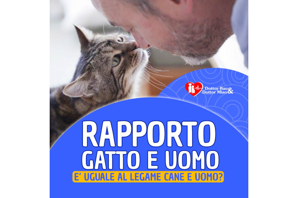 𝘙𝘈𝘗𝘗𝘖𝘙𝘛𝘖 𝘎𝘈𝘛𝘛𝘖 𝘌 𝘜𝘖𝘔𝘖 🐱👨🏻⁣⁣ 𝘌' 𝘶𝘨𝘶𝘢𝘭𝘦 𝘢𝘭 𝘭𝘦𝘨𝘢𝘮𝘦 𝘤𝘢𝘯𝘦 𝘦 𝘶𝘰𝘮𝘰?⁣⁣