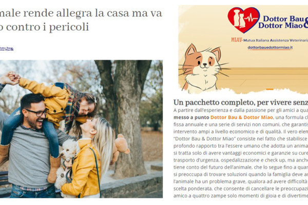 Un animale rende allegra la casa ma va protetto contro i pericoli