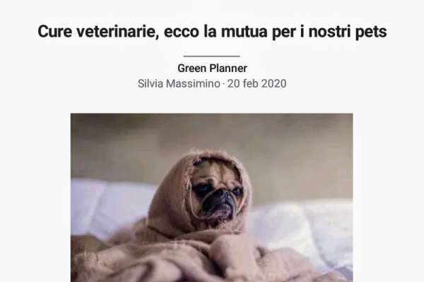 Cure Veterinarie, ecco la Mutua per i nostri pet