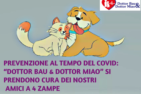 Prevenzione al tempo del Covid:  “Dottor Bau & Dottor Miao” si prendono cura dei nostri amici a 4 zampe