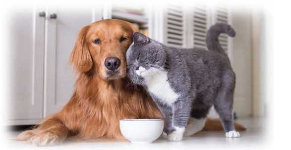 A proposito di... “affetti stabili” e di “congiunti”!!!..