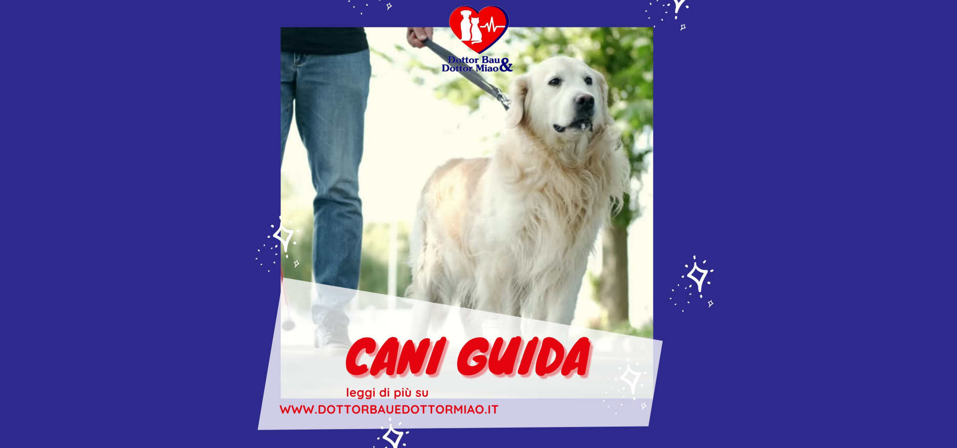 Cani Guida, non solo protesi.