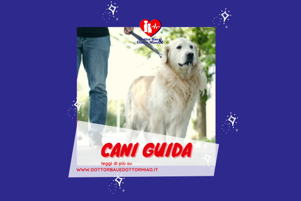 Cani Guida, non solo protesi.