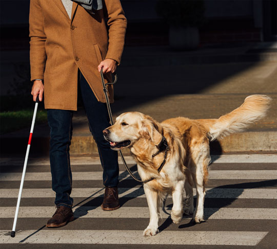 Convenzione per soci UICI